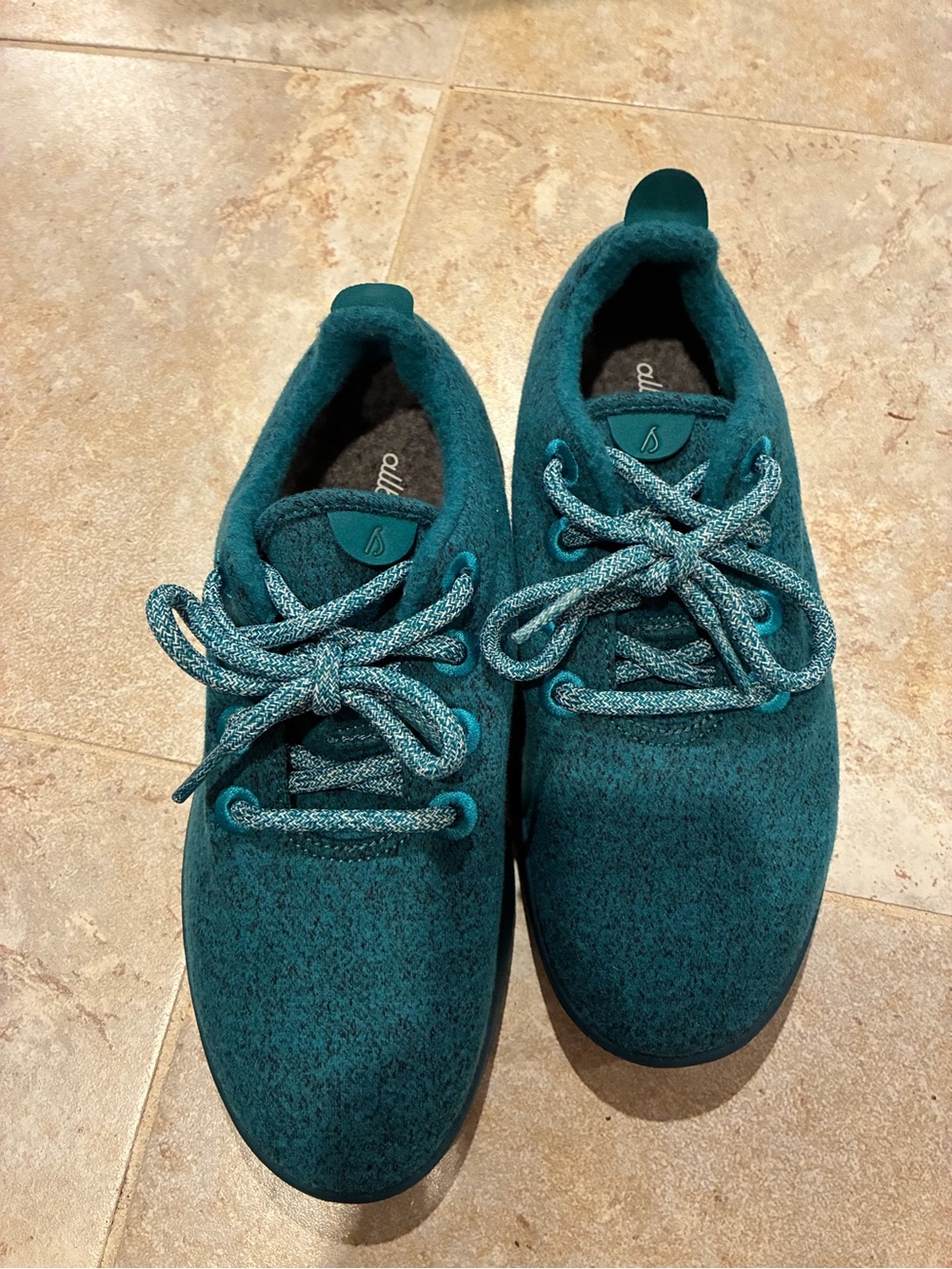 NWOT Allbirds Turquoise Merino Wool Women’s Sneakers